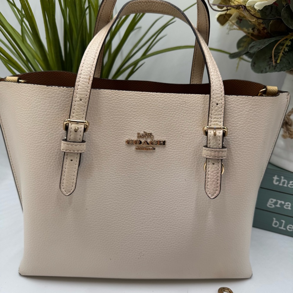 Coach Mollie Tote 25 in Chalk Multi with Snake Print Strap
